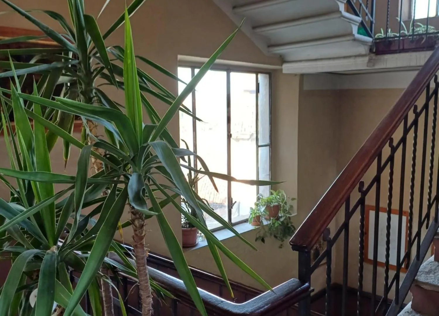 Casa Clara Apartment Cremona